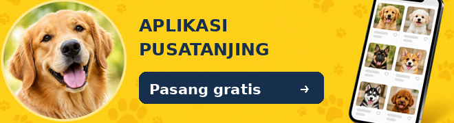 Pasang aplikasi PusatAnjing gratis