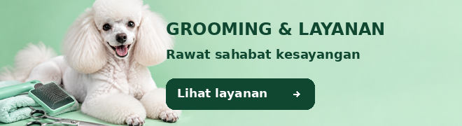 Grooming dan layanan anjing — lihat layanan