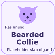 Icon Bearded Collie