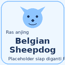 Icon Belgian Sheepdog