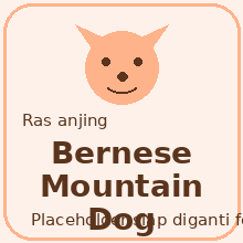 Icon Bernese Mountain Dog