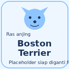 Icon Boston Terrier