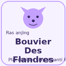 Icon Bouvier Des Flandres