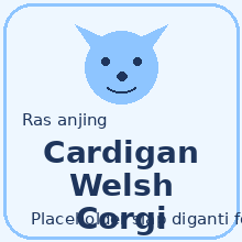 Icon Cardigan Welsh Corgi