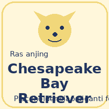 Icon Chesapeake Bay Retriever