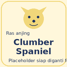 Clumber Spaniel