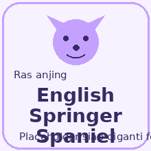 Icon English Springer Spaniel