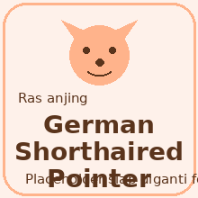German Shorthaired Pointer