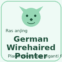 German Wirehaired Pointer