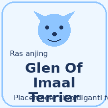 Icon Glen Of Imaal Terrier