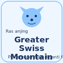 Greater Swiss Mountain Dog