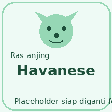 Icon Havanese