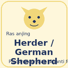Herder / German Shepherd