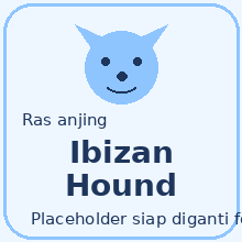Icon Ibizan Hound