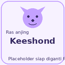 Keeshond