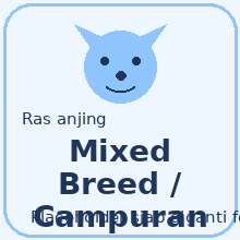 Icon Mixed Breed / Campuran