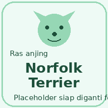 Icon Norfolk Terrier