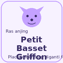 Icon Petit Basset Griffon Vendeen