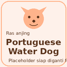 Portuguese Water Dog