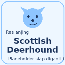 Icon Scottish Deerhound