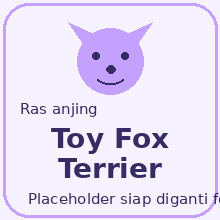 Icon Toy Fox Terrier