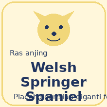 Welsh Springer Spaniel