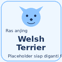 Welsh Terrier