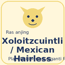 Icon Xoloitzcuintli / Mexican Hairless